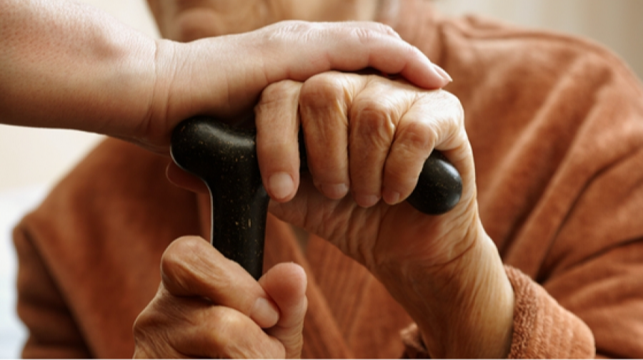 73000 настай “хүн” олдов, хүн төрөлхтний түүхийг дахин бичих үү